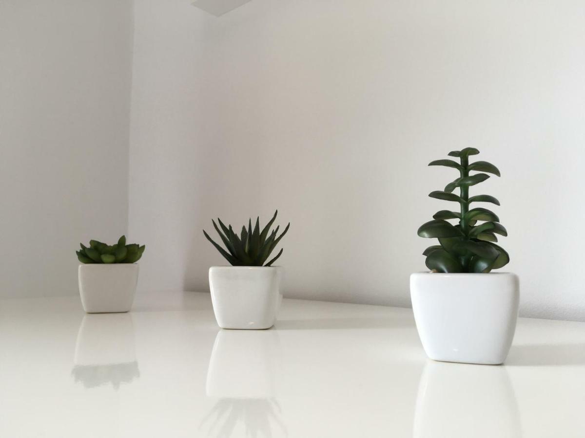 Apartments نوفي فينودولسكي المظهر الخارجي الصورة